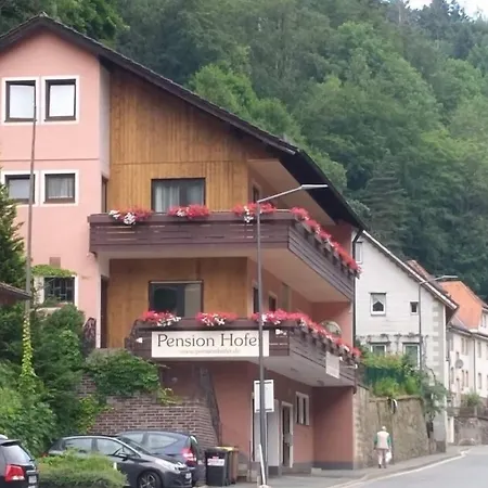 Hofer Pensionat 3*